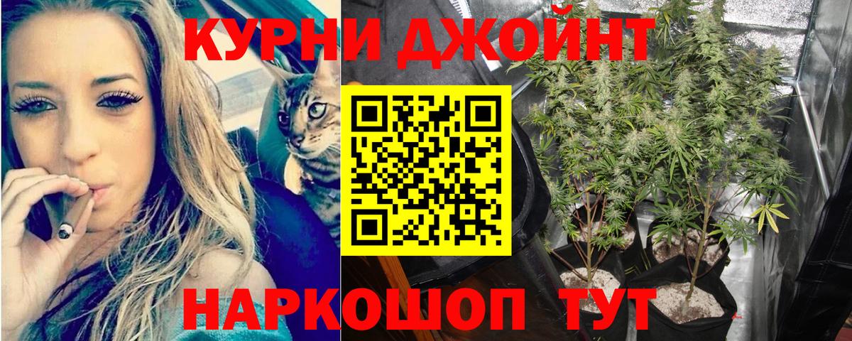 Бошки Шишки VHQ  Бошки марихуана план  Каннабис White Widow  Славянск-на-Кубани  Конопля сатива  Вход с VPN 